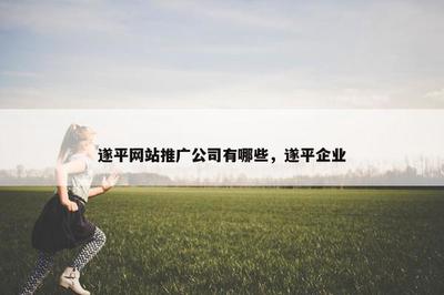 遂平网站推广公司有哪些,遂平企业